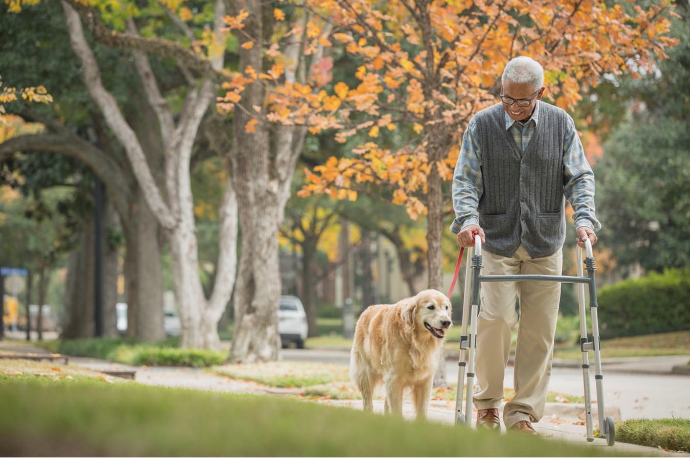 Un homme prend une marche avec son chien.